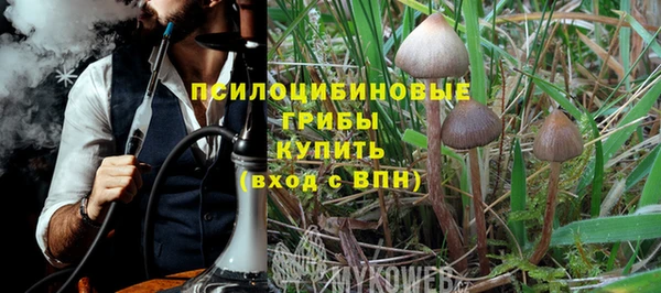 амф Богородск