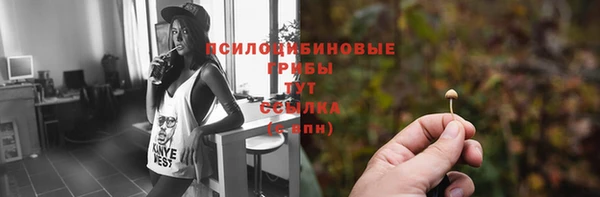 трава Богданович
