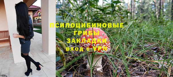 сатива Белокуриха