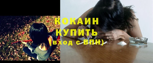 сатива Белокуриха