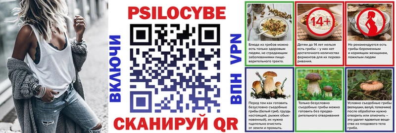 купить цена Реж Псилоцибиновые грибы мицелий