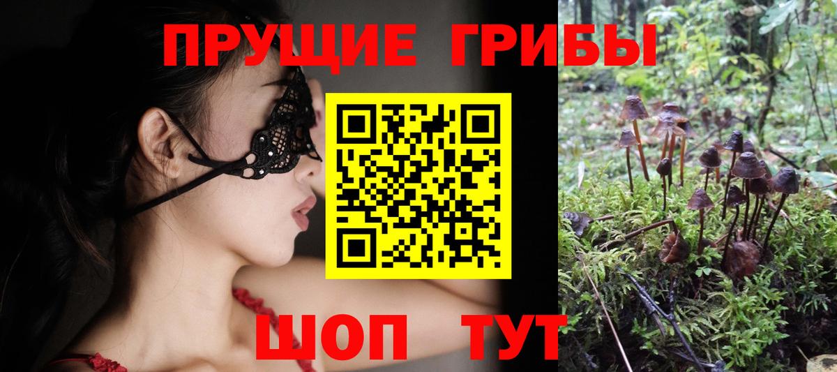Галлюциногенные грибы Cubensis  Вход с VPN  Реж 